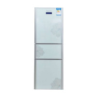 容声冰箱BCD-232YMB-DR61