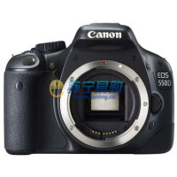 佳能数码单反相机EOS550D Body