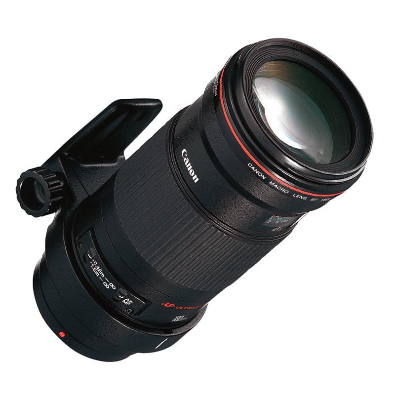 佳能(Canon) EF 180MM F/3.5L USM 微距图片