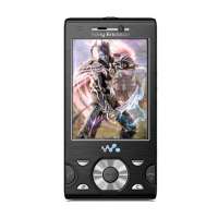 索尼爱立信手机W995(锋锐黑)(典藏版)