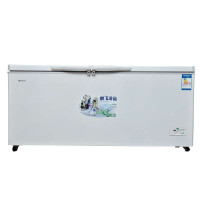 新飞冷柜BC/BD-625GC乳白色