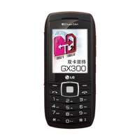LG手机GX300(RED)