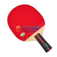 729双反乒乓球拍1星A