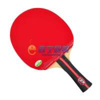 729双反乒乓球拍1星B