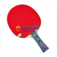 729双反乒乓球拍2060B