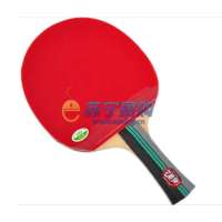 729双反乒乓球拍3星B