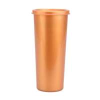 特百惠金属魅影系列随身杯(金色)