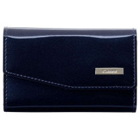 佳能IXUS彩色可选相机包蓝