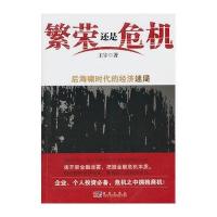 繁荣还是危机？：后海啸时代的经济迷局