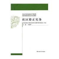 社区矫正实务