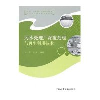 污水处理厂深度处理与再/净水厂、污水处理厂非常规处理技术与工程实例详解系列丛书