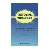 金融全球化-短期资本流动风险