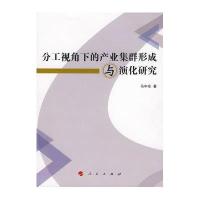 分工视角下的产业集群形成与演化研究