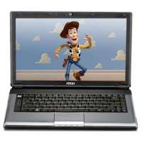 微星笔记本EX460-087XCN-IST3301G250SX