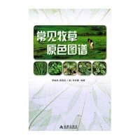 常见牧草原色图谱