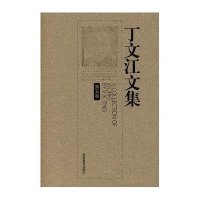 丁文江文集(第五卷)