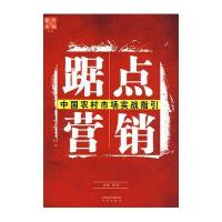 踞点营销：中国农村市场实战指引
