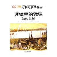 透镜里的猛犸：波的奥秘（全彩）