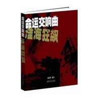 命运交响曲——淮海狂飙