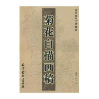 菊花白描画稿