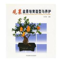 观果盆景培育造型与养护