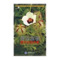 常见植物(野外识别手册)