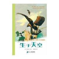 椋鸠十动物小说·爱藏本：生于天空