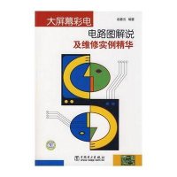 大屏幕彩电电路图解说及维修实例精华