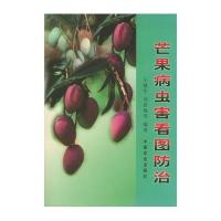 芒果病虫害看图防治