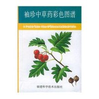 袖珍中草药彩色图谱