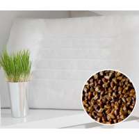 梦洁家纺时尚决明子枕芯