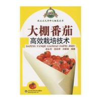 大棚番茄高效栽培技术