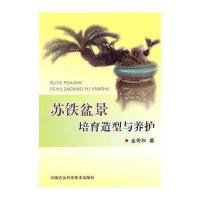 苏铁盆景培育造型与养护