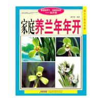 家庭养兰年年开