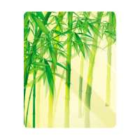 手机工坊保护壳IPAD2(势如破竹)彩绘