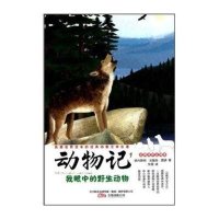 我眼中的野生动物