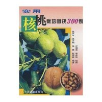 实用核桃栽培图诀300例