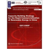 CAPACITY BUILDING STRATEGY FOR THE RAPID COMMERCIALIZATION OF RENEWABLE ENERGY IN CHINA