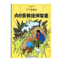 丁丁历险记：向日葵教授绑架案