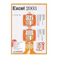 Excel 2003从新手到高手