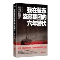 我在蒙东盗墓集团的六年潜伏