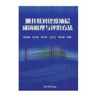 测井低对比度油层成因机理与评价方法