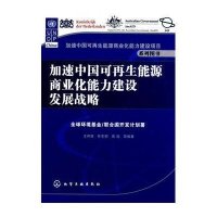 加速中国可再生能源商业化能力建设发展战略