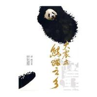 大震在熊猫之乡