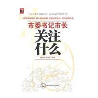 市委书记市长关注什么