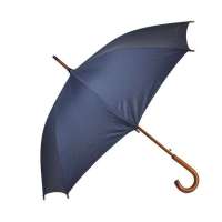 天堂牌118E碰自开直杆伞(青)