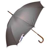 天堂牌118E碰自开直杆伞(银)