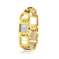 D&G女士腕表DW0029