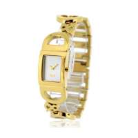 D&G女士腕表DW0495