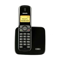 飞利浦 电话机 DCTG270系统 (黑色)